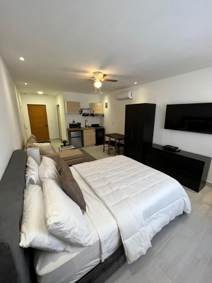 Suites By Salcedo Σάντο Ντομίγκο Εξωτερικό φωτογραφία